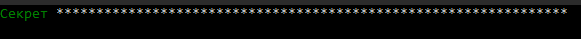 runner_setup_6